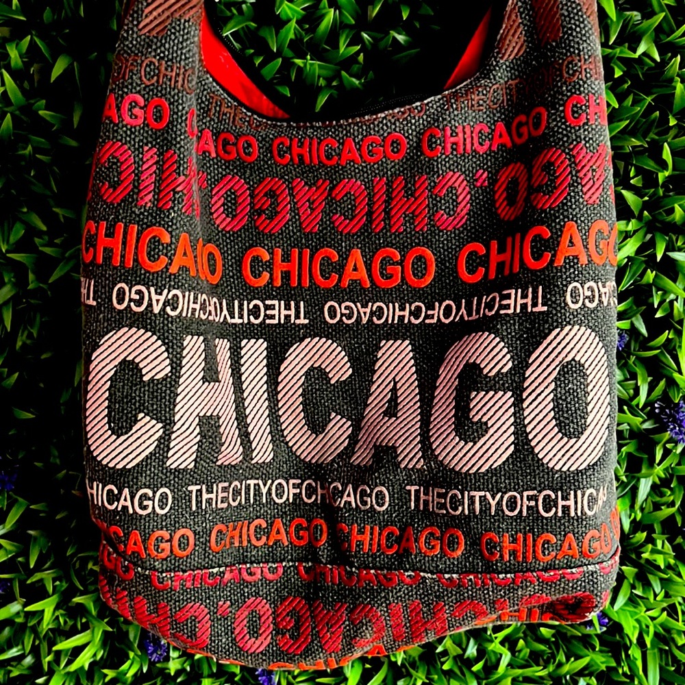 Robin Ruth Chicago print deep shoulder bag. Great for storage & travel! - Picture 1 of 3